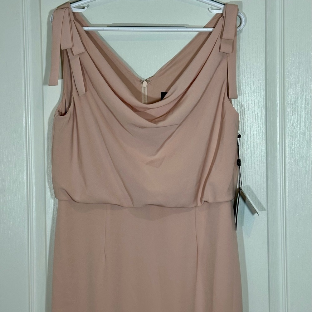 NWT—Adrianna Papell Blush Maxi Dress